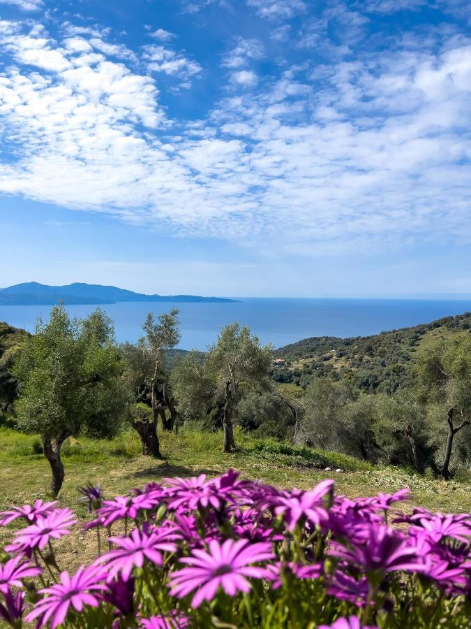 La Pampa Cargese Chambres D Hotes Dış mekan fotoğraf