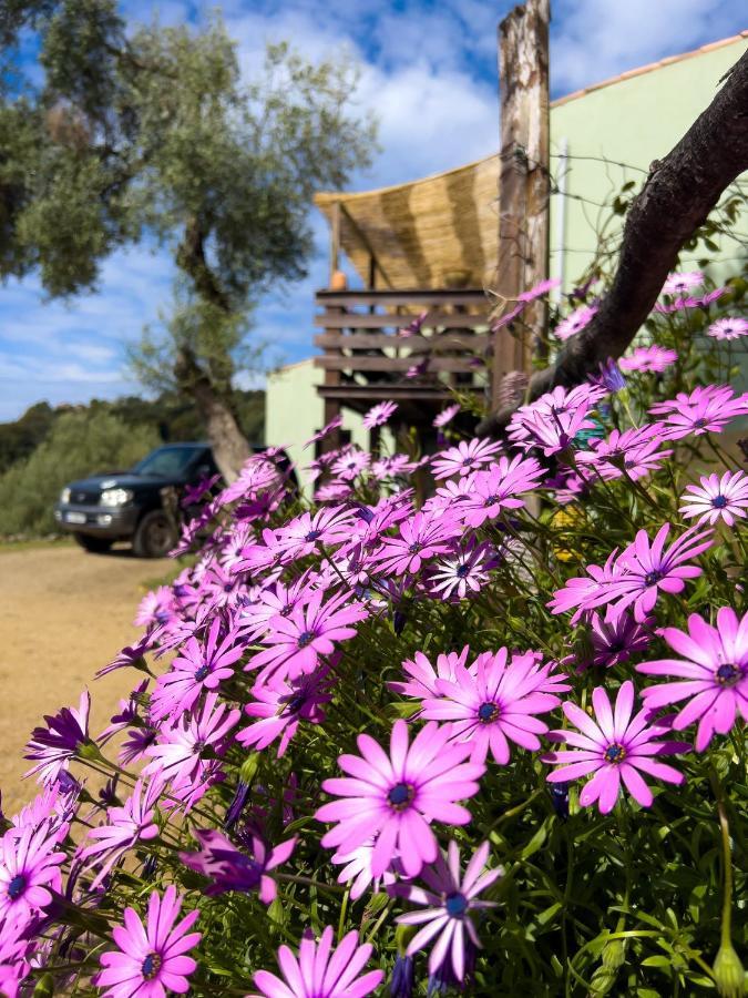 La Pampa Cargese Chambres D Hotes Dış mekan fotoğraf